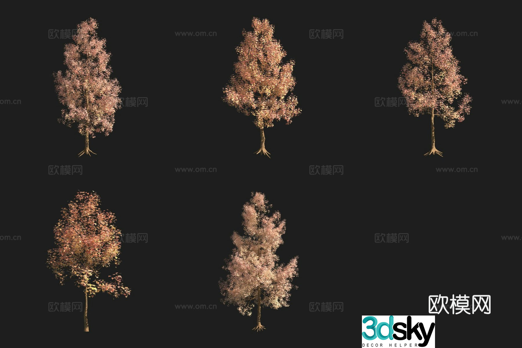 American Sweet Tree 3D Model