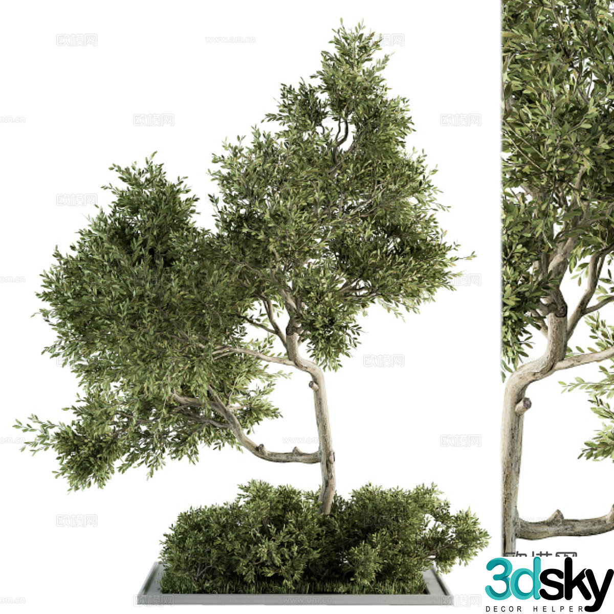 Landscape tree 3d model