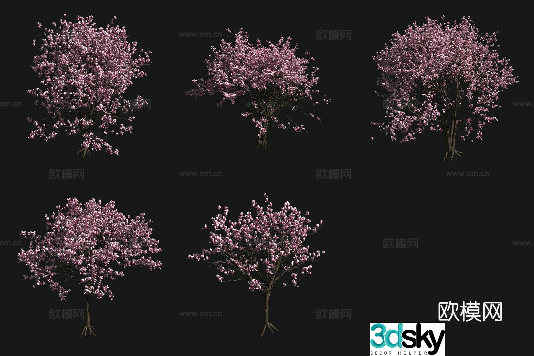 Erqiao Magnolia Tree Flowers Plants Shrubs Flowers Trees 3D Model