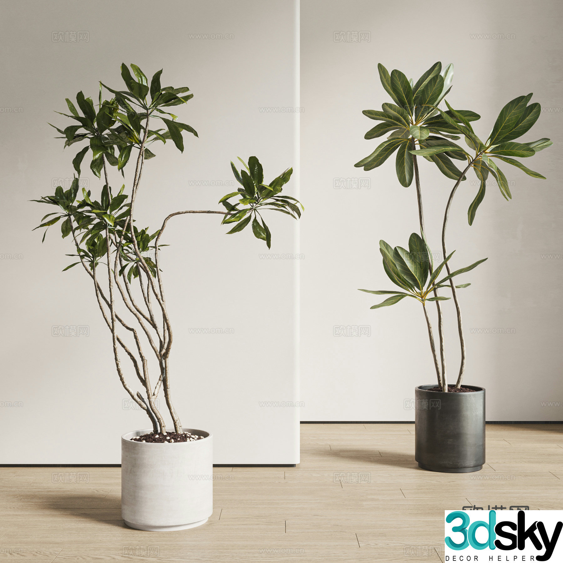 Modern plant potted plants green plants floor-to-bottomed potted plants 3D model