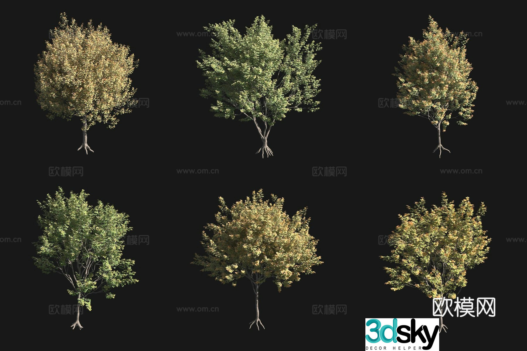 Field maple autumn tree 3d model