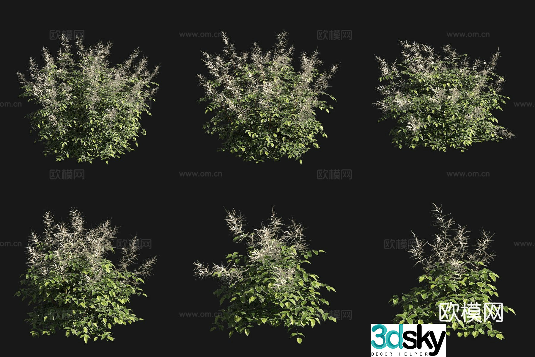 Fake Cohosh shrub flower tree 3d model