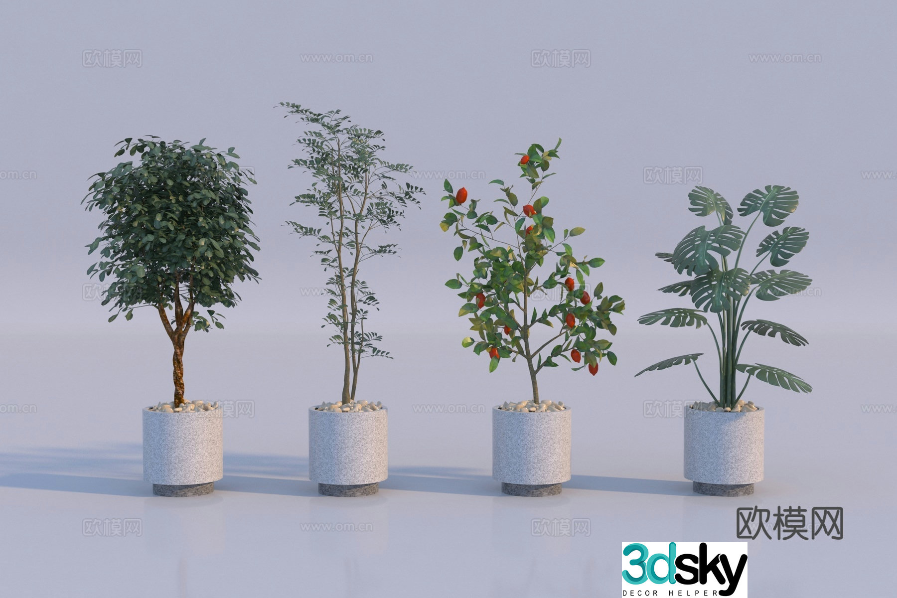 Modern plant potted plant combination 3D model