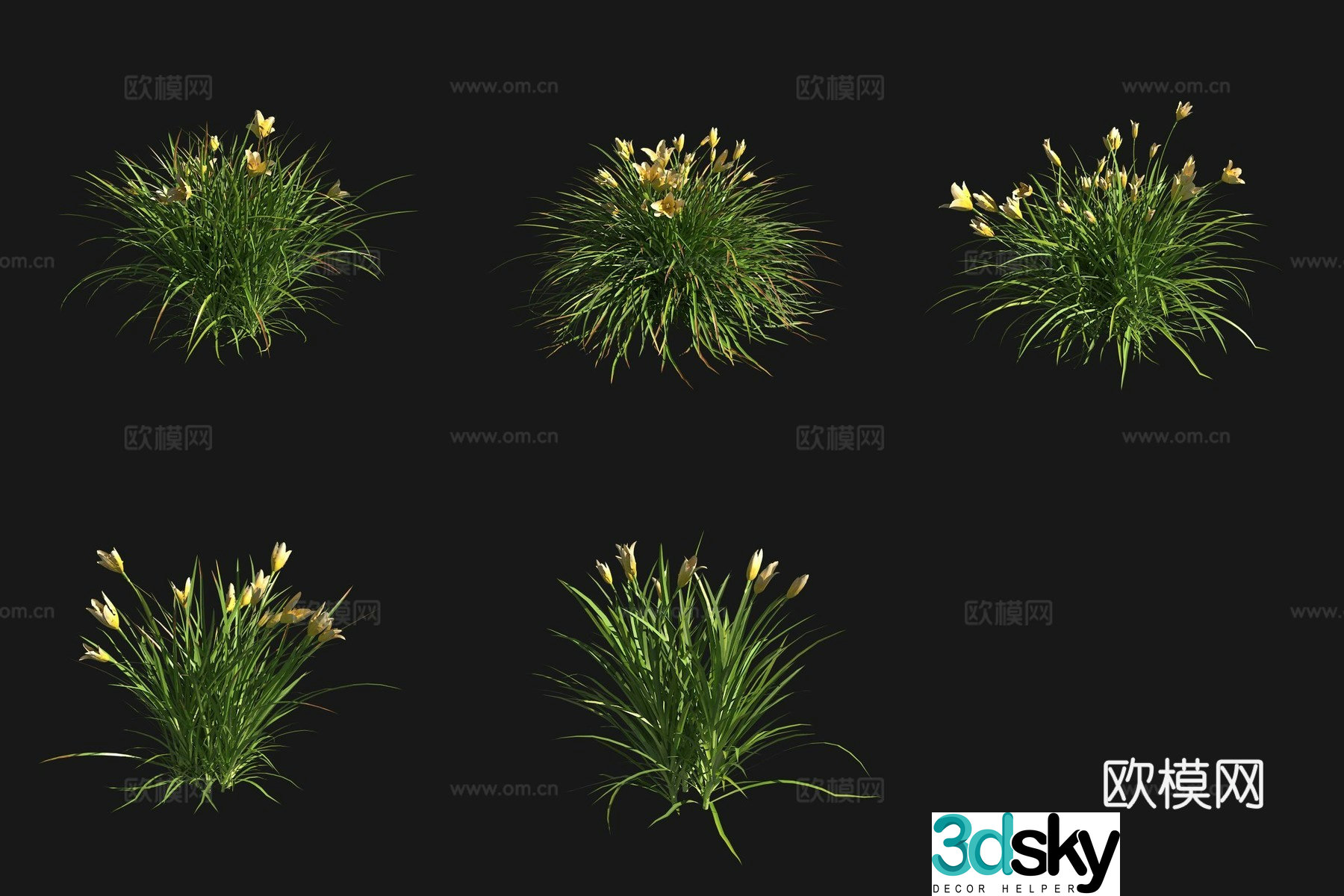Daylily flower grass and shrub 3d model