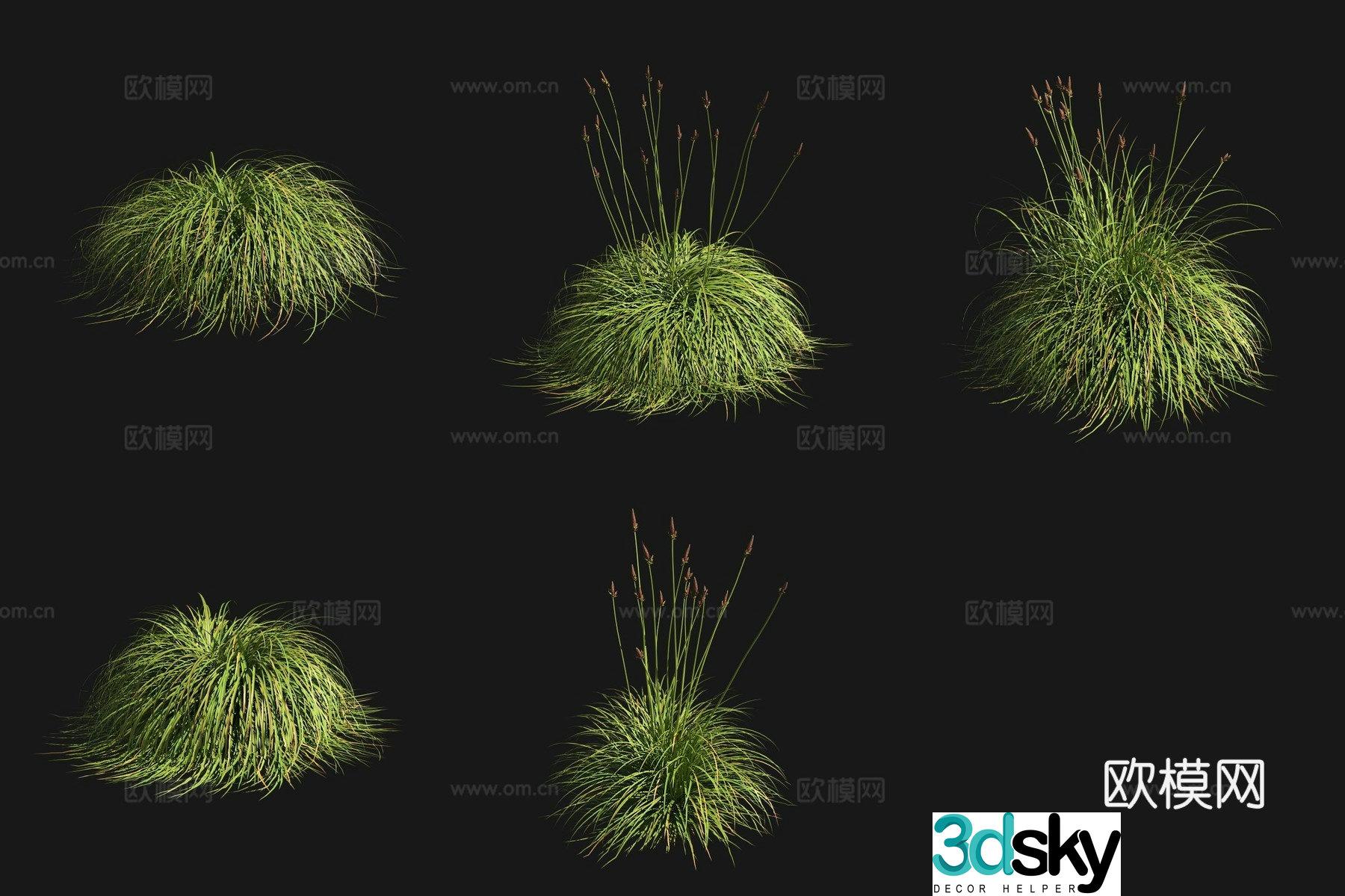 Spring moss grass garden plants flowers and bushes 3d model