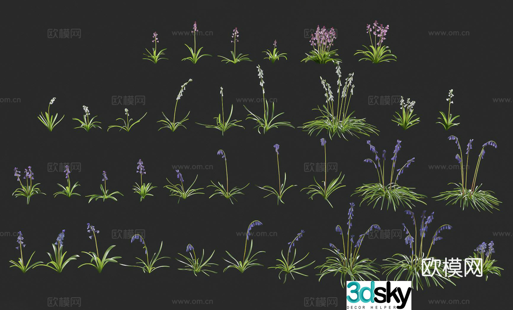 Modern hyacinth flowers blue bell flowers purple flowers outdoor hyacinth flowers plants and flowers garden green 3d model