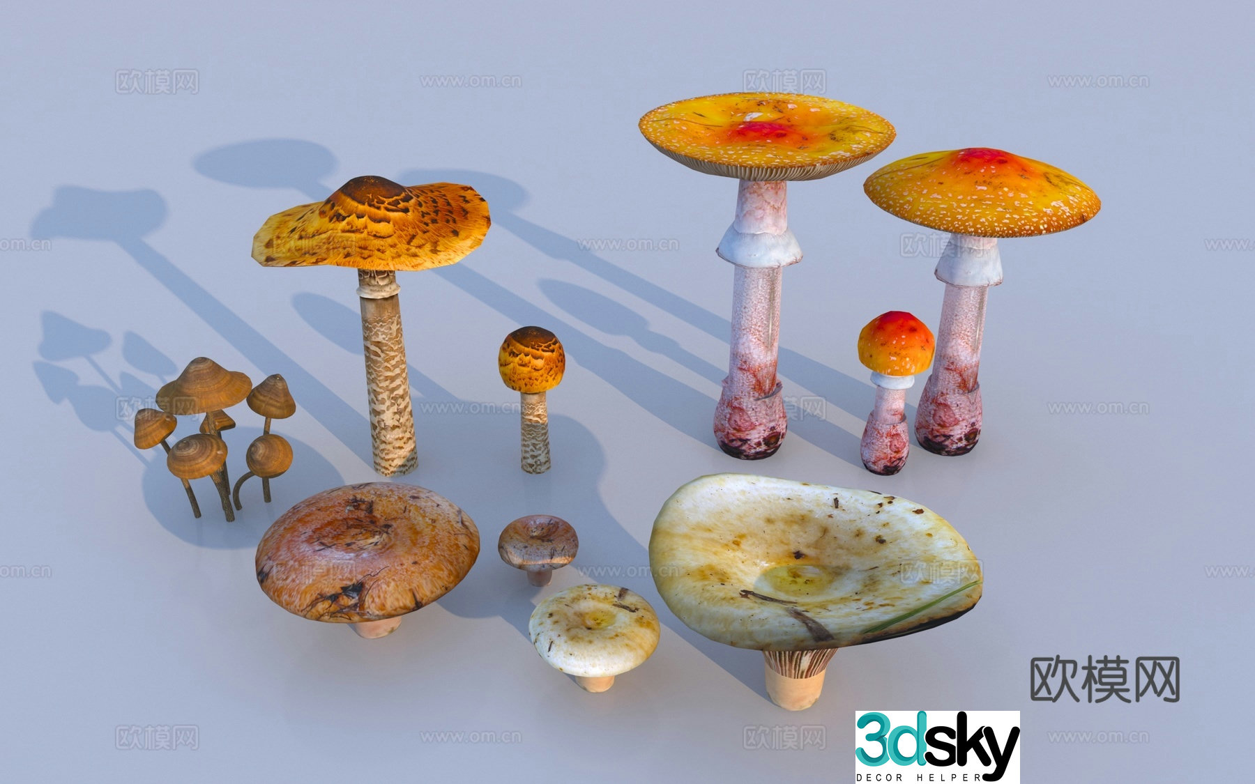 Modern mushroom fungi sketch 3D model