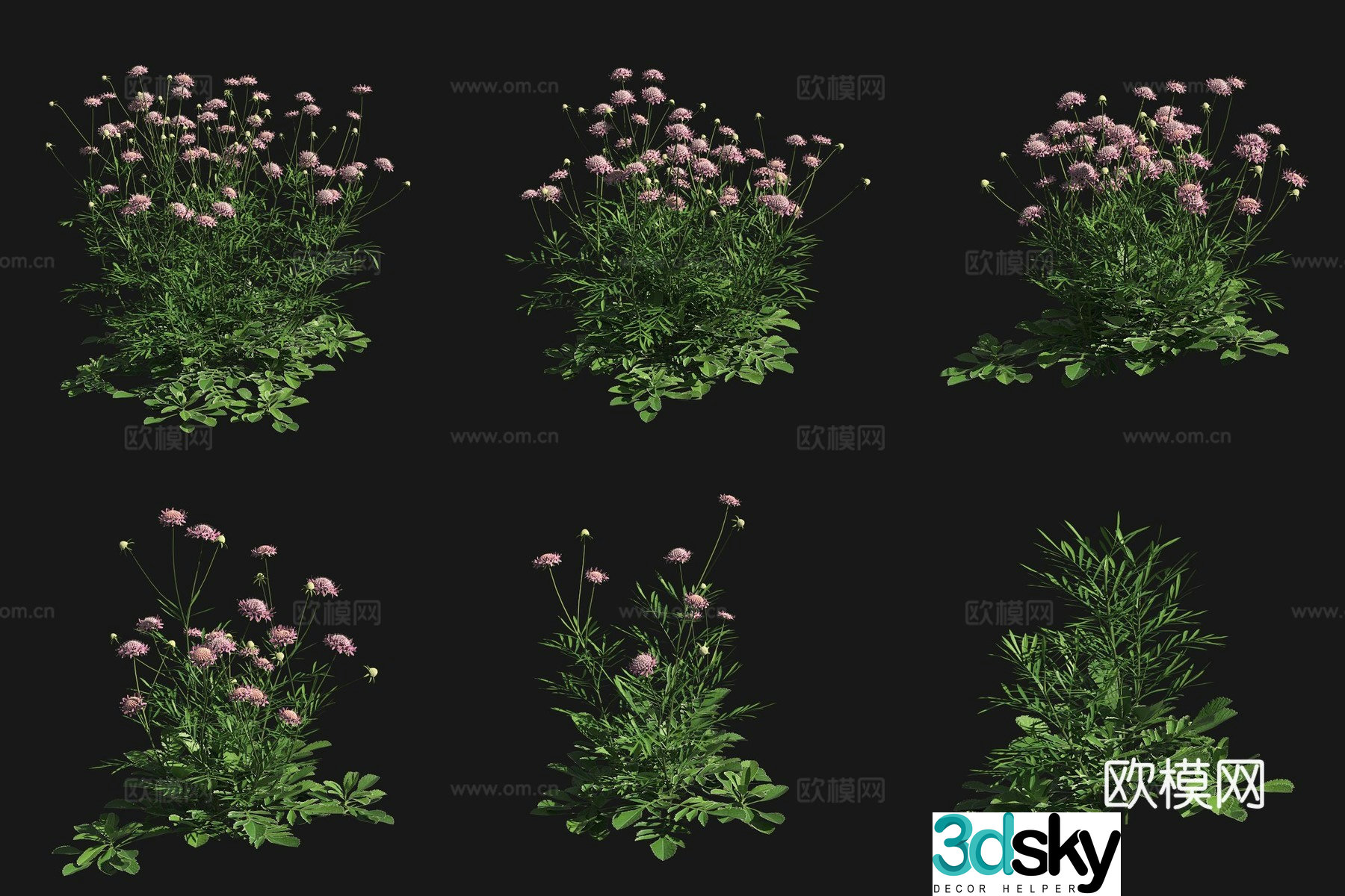 3D model of purple potted flowers plants and shrubs