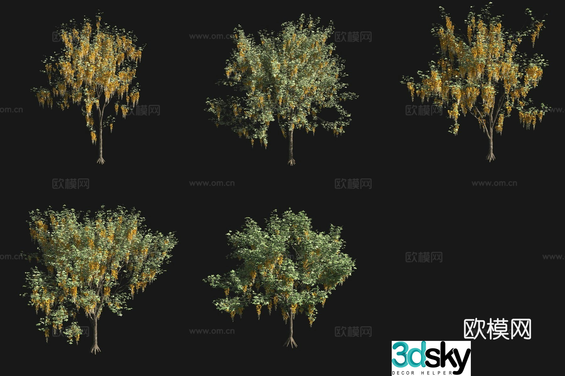 Golden chains shrub flower tree 3d model