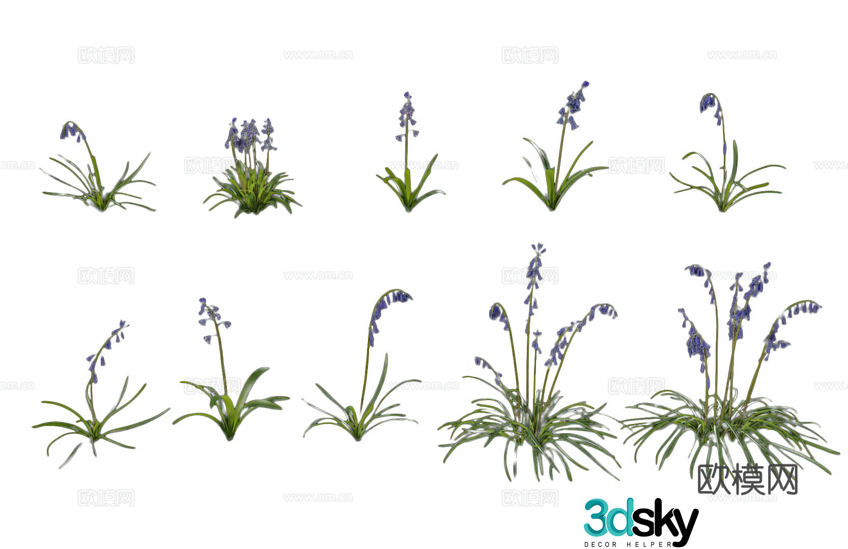 Modern hyacinth flowers blue bell flowers purple flowers outdoor hyacinth flowers plants and flowers garden green 3d model