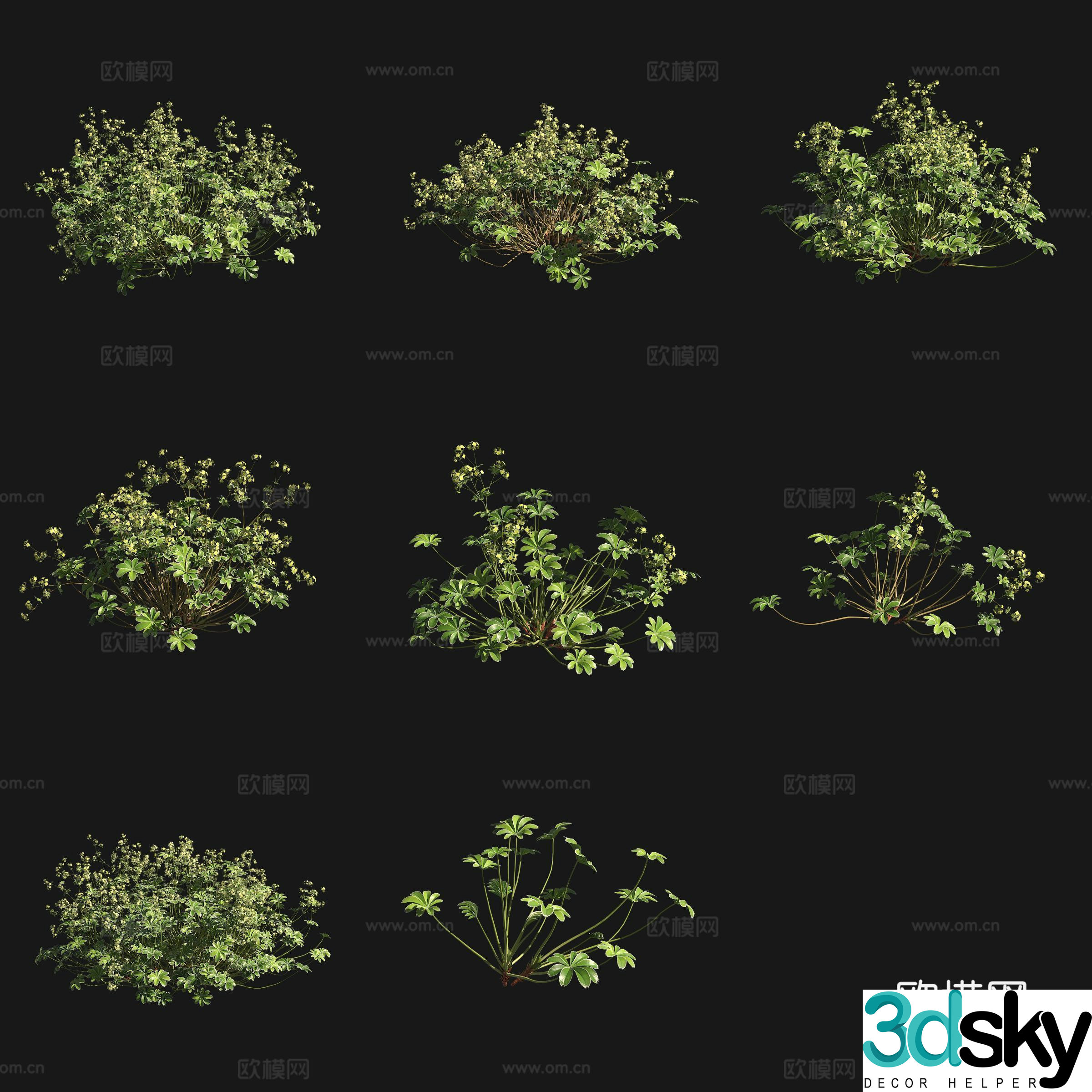 3D model of 3D