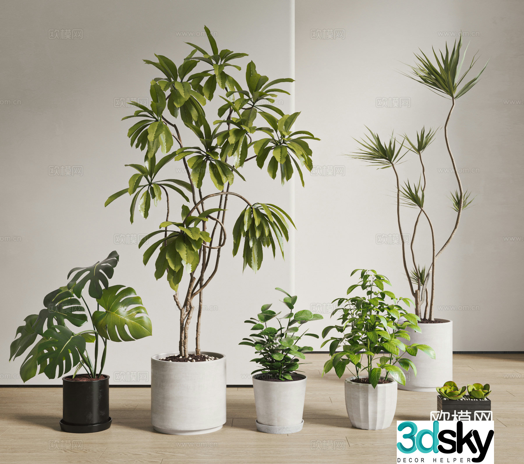 Modern plant potted plant combination green plants floor 3D model