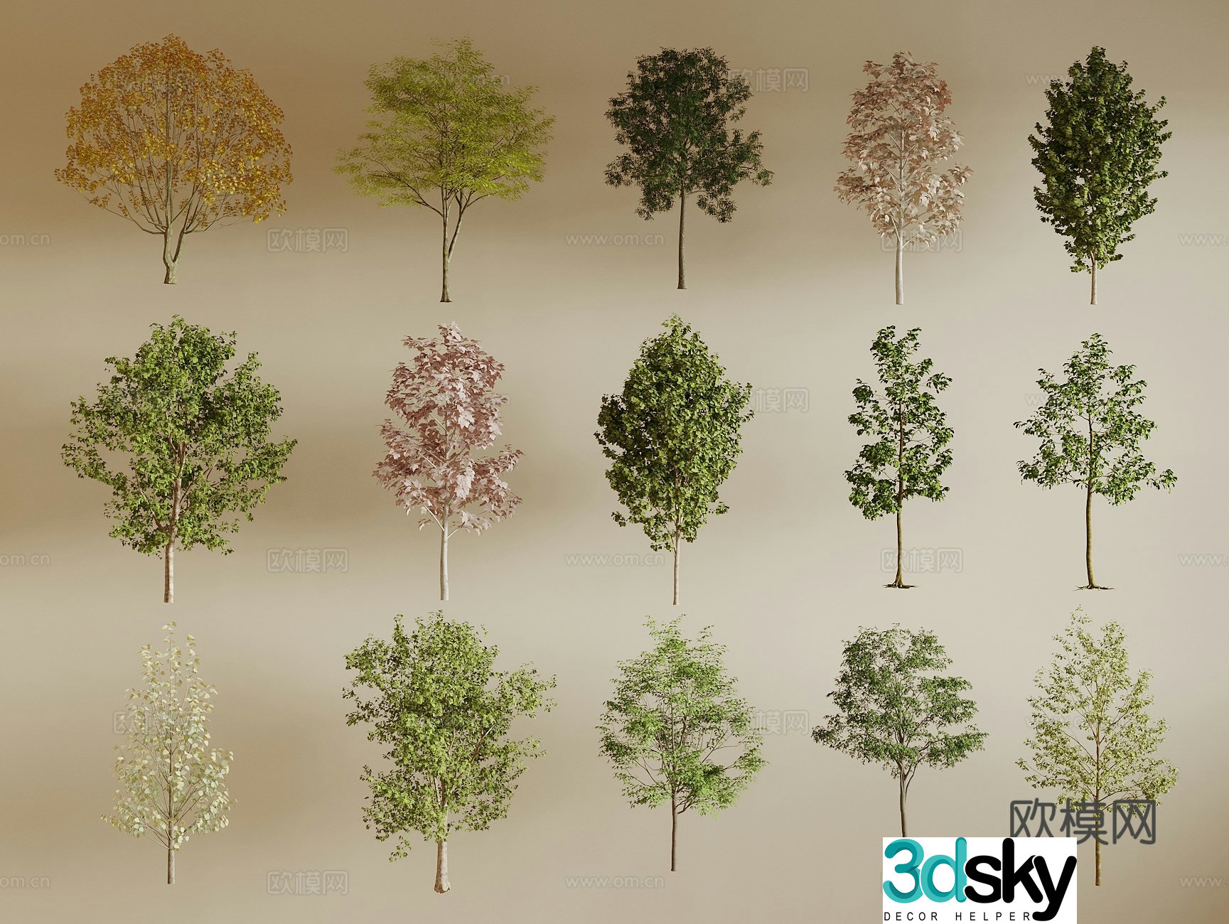 Landscape tree Street tree Tree 3D model