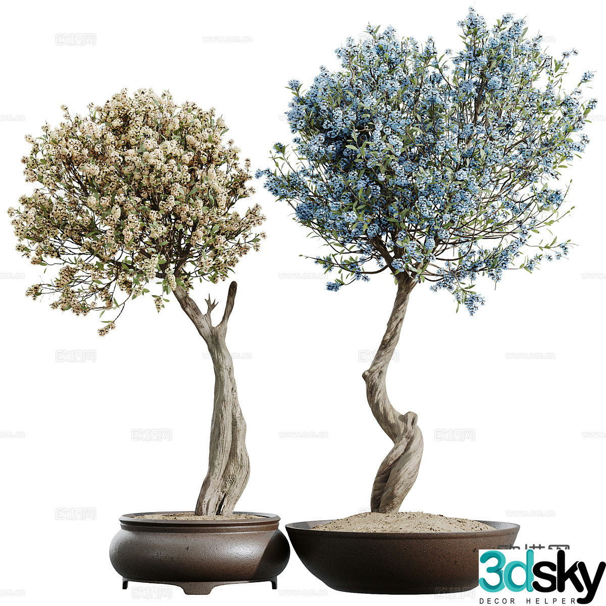 New Chinese cherry blossom bonsai pot plant 3D model