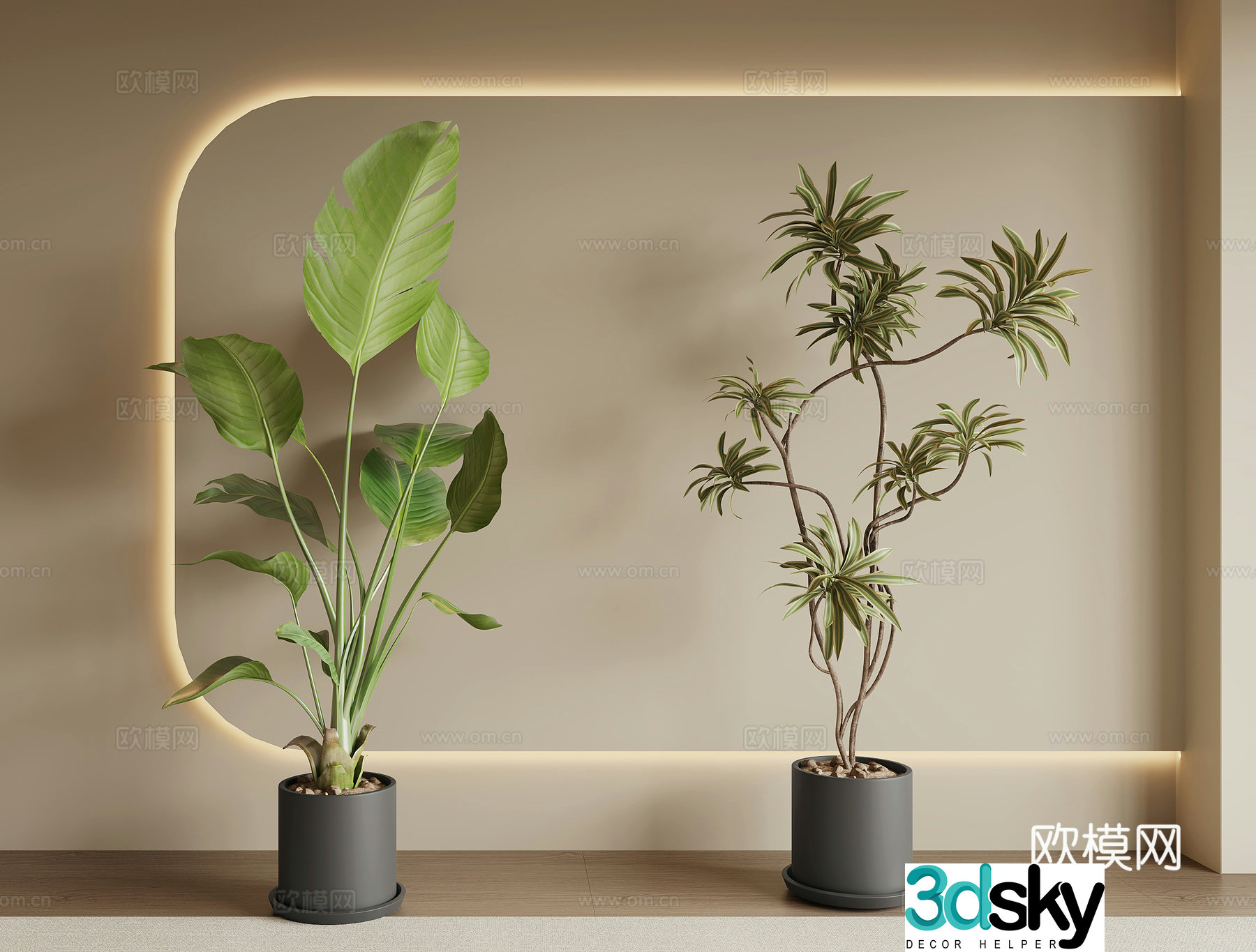 Modern green plant potted 3D model