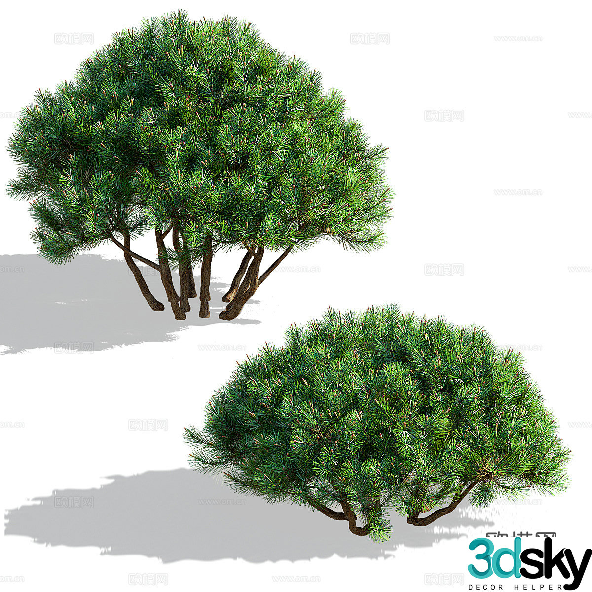 Shrub Landscape Tree Pine Tree 3D Model