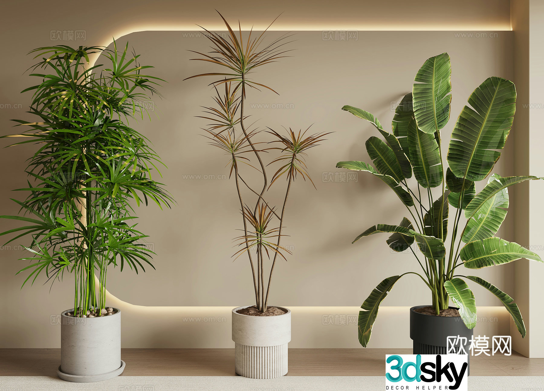 Modern green plant potted 3D model