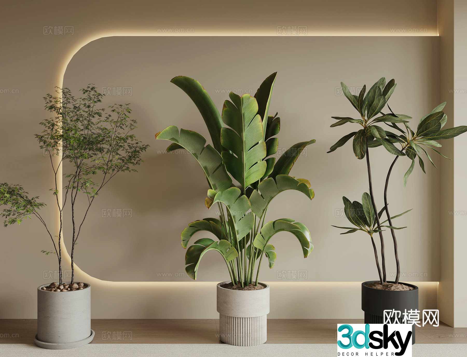 Modern green plant potted 3D model
