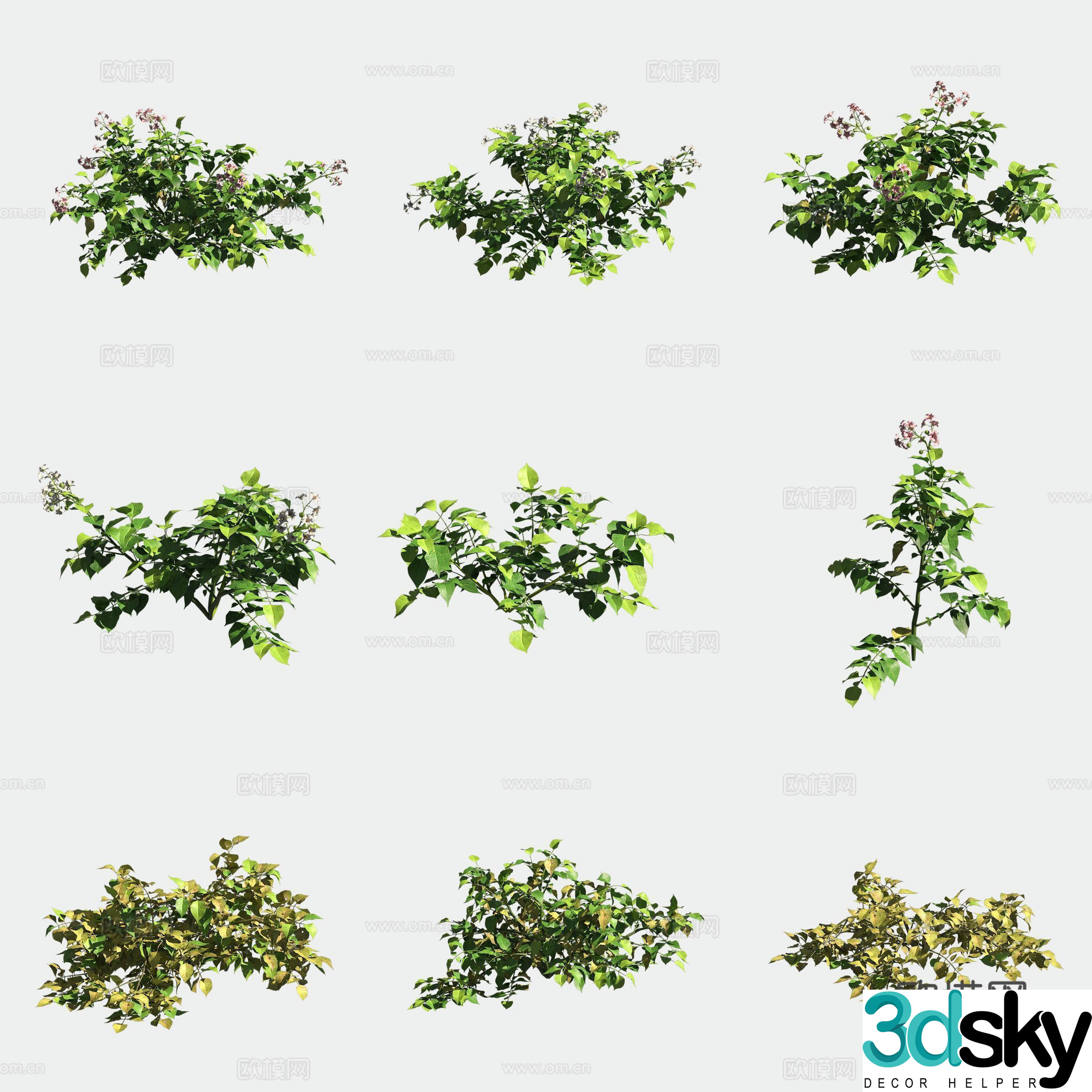 Potato potato crops crops vegetables 3d model