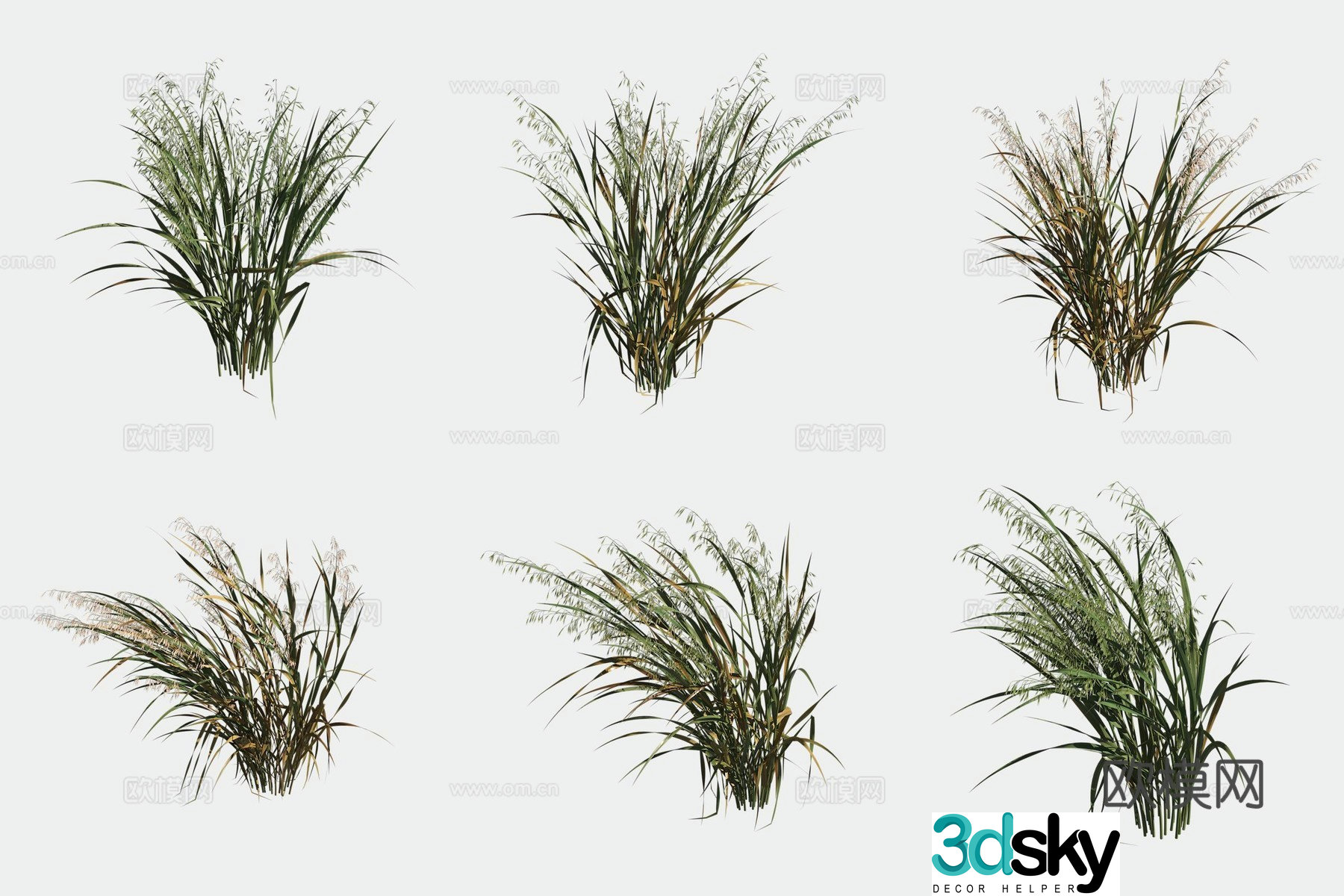 Oat crop crop 3d model