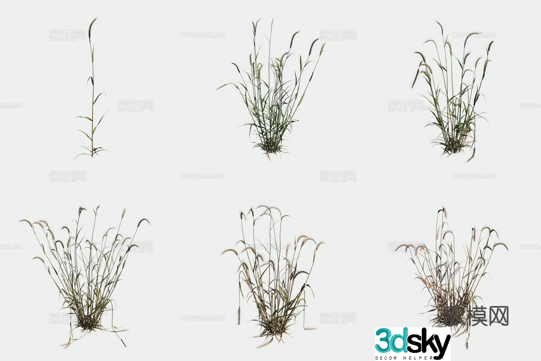 Rye crop crop 3d model