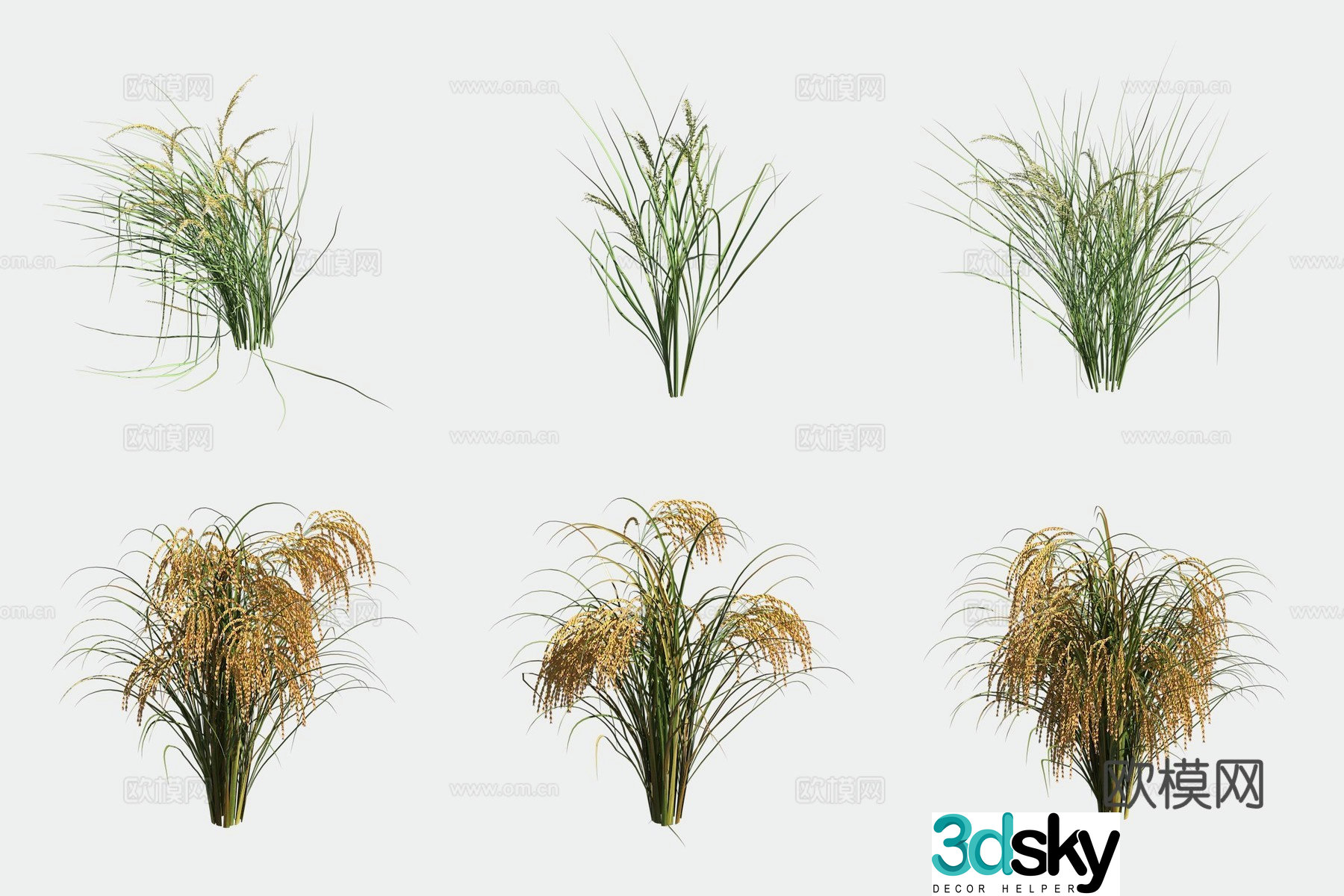 Rice crop crop 3d model