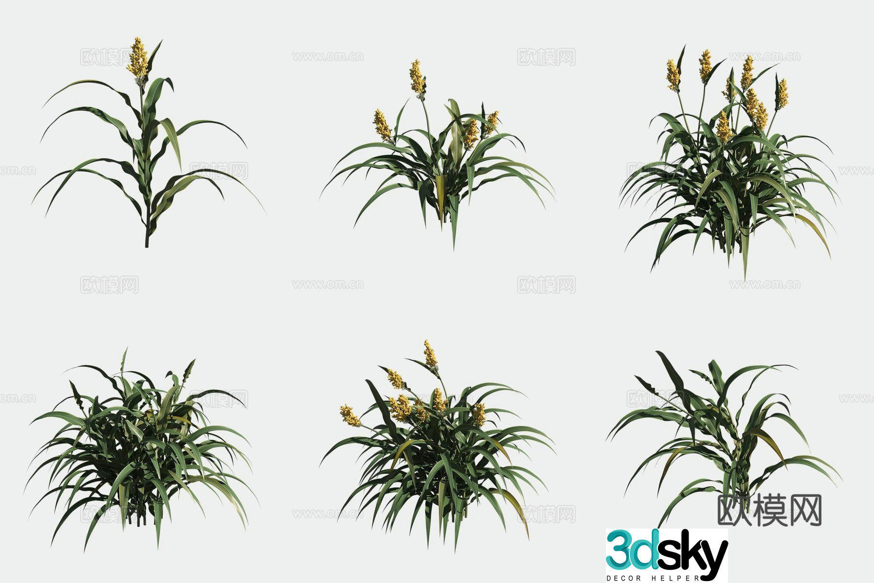 Sorghum crop crop 3d model