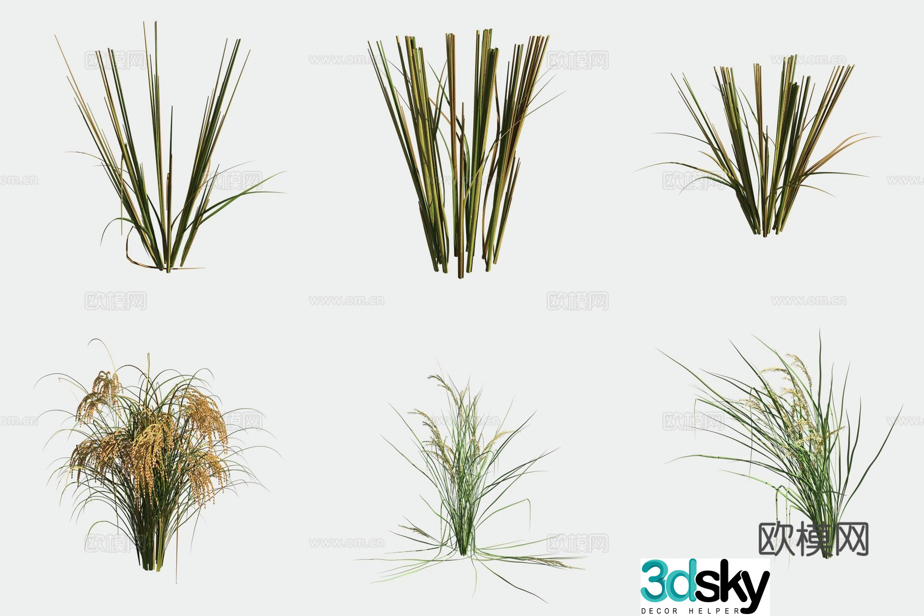 Rice crop crop 3d model