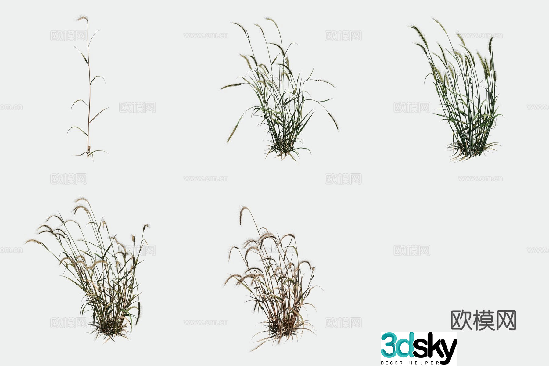 Rye crop crop 3d model