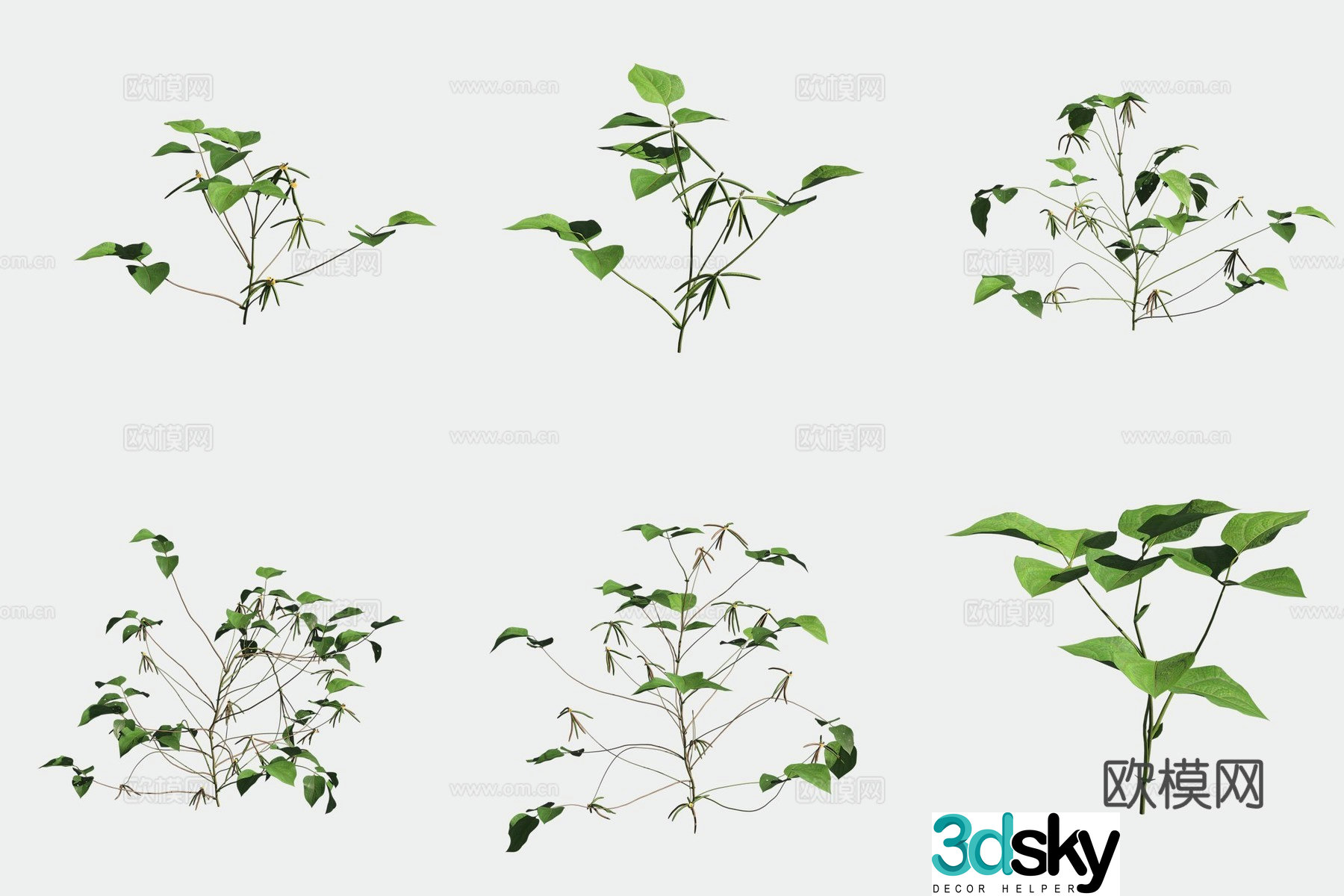 Mung bean crops crops vegetables 3d model