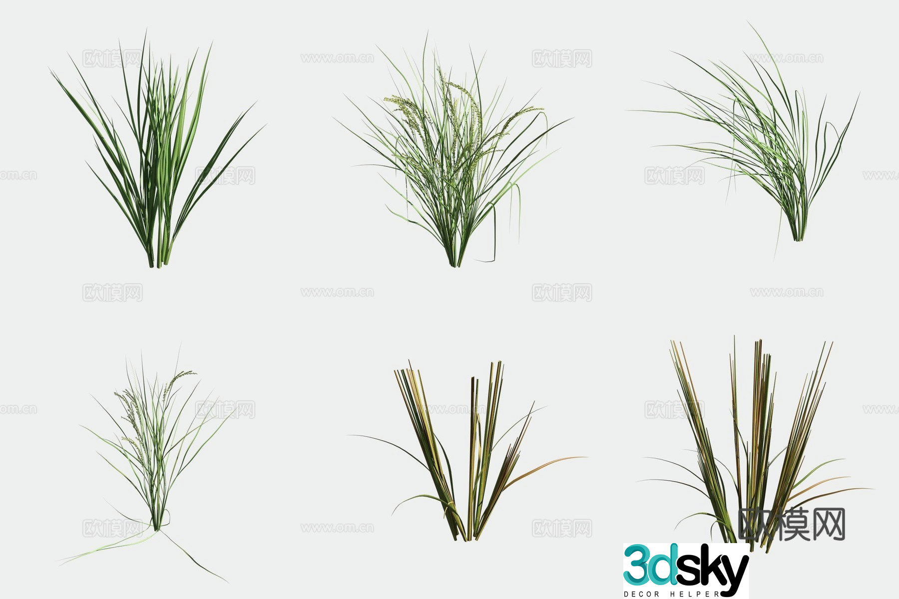 Rice crop crop 3d model