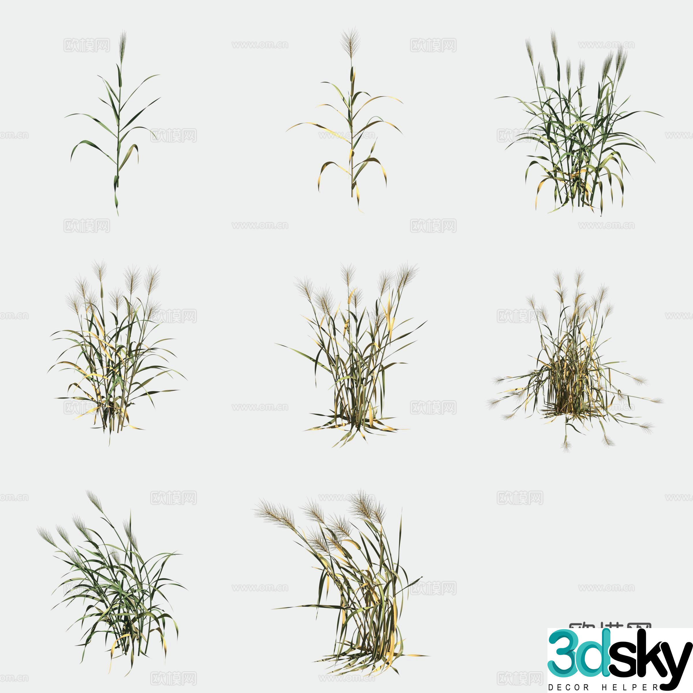 Wheat crop crop 3d model