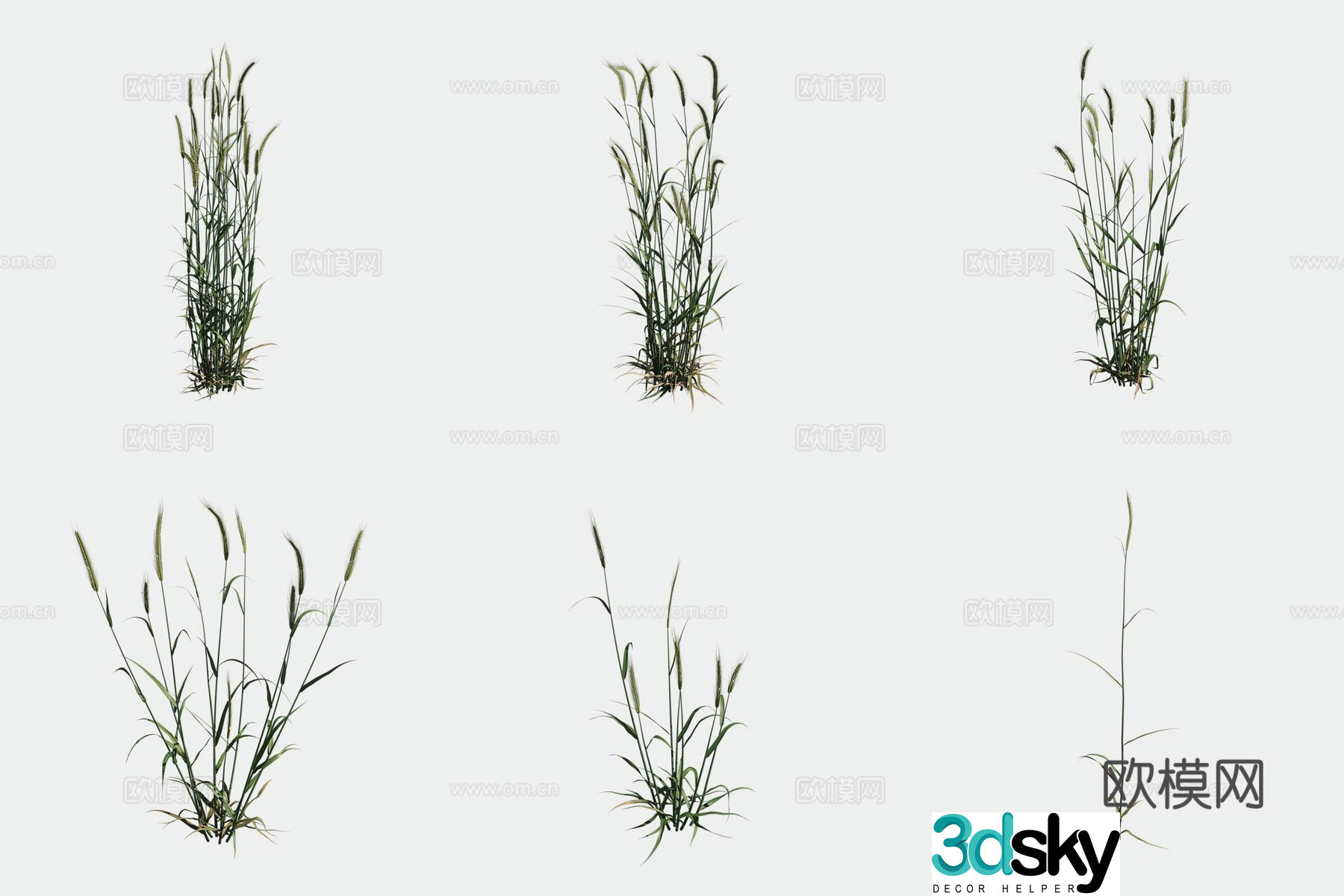 Rye crop crop 3d model
