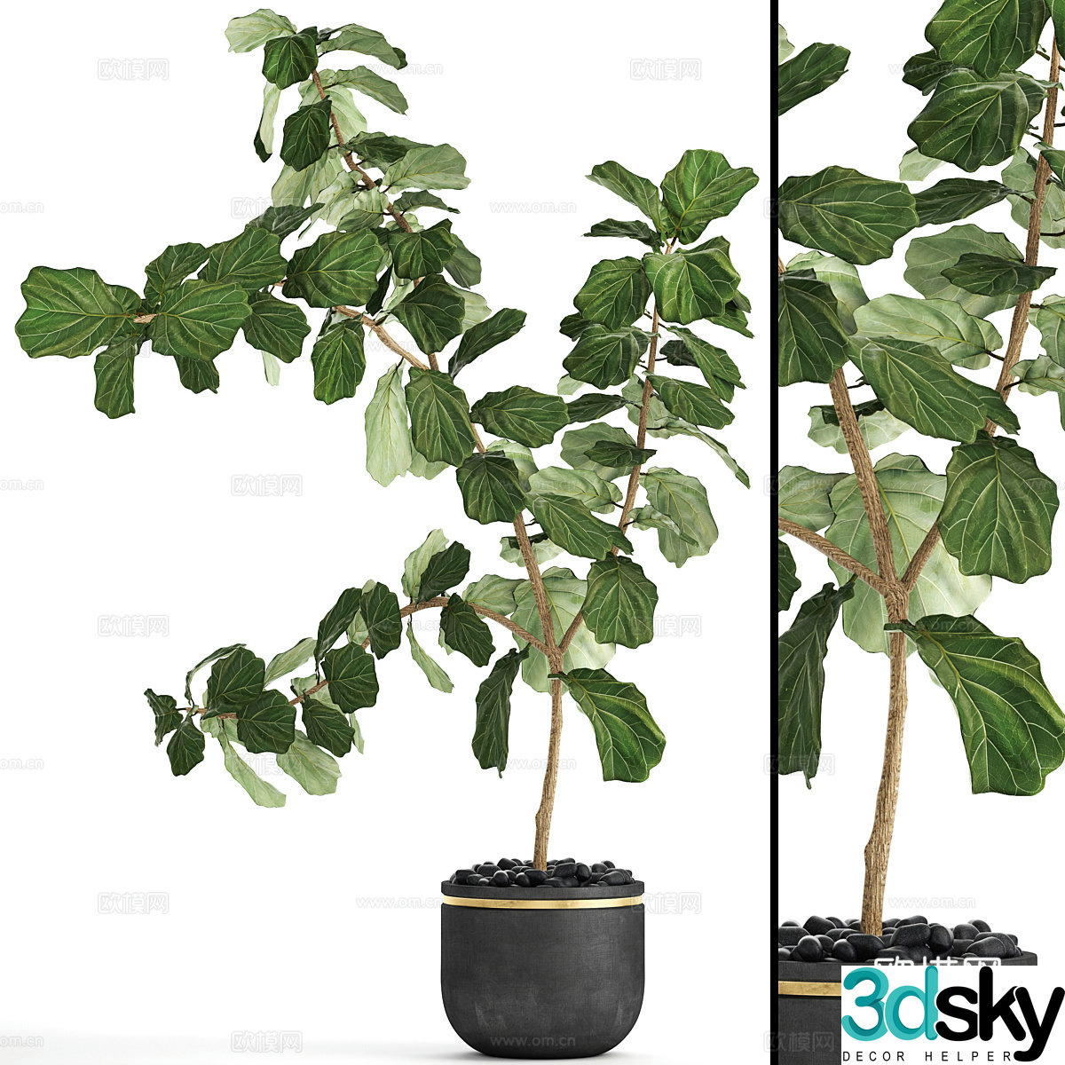 New Chinese green plant potted 3D model
