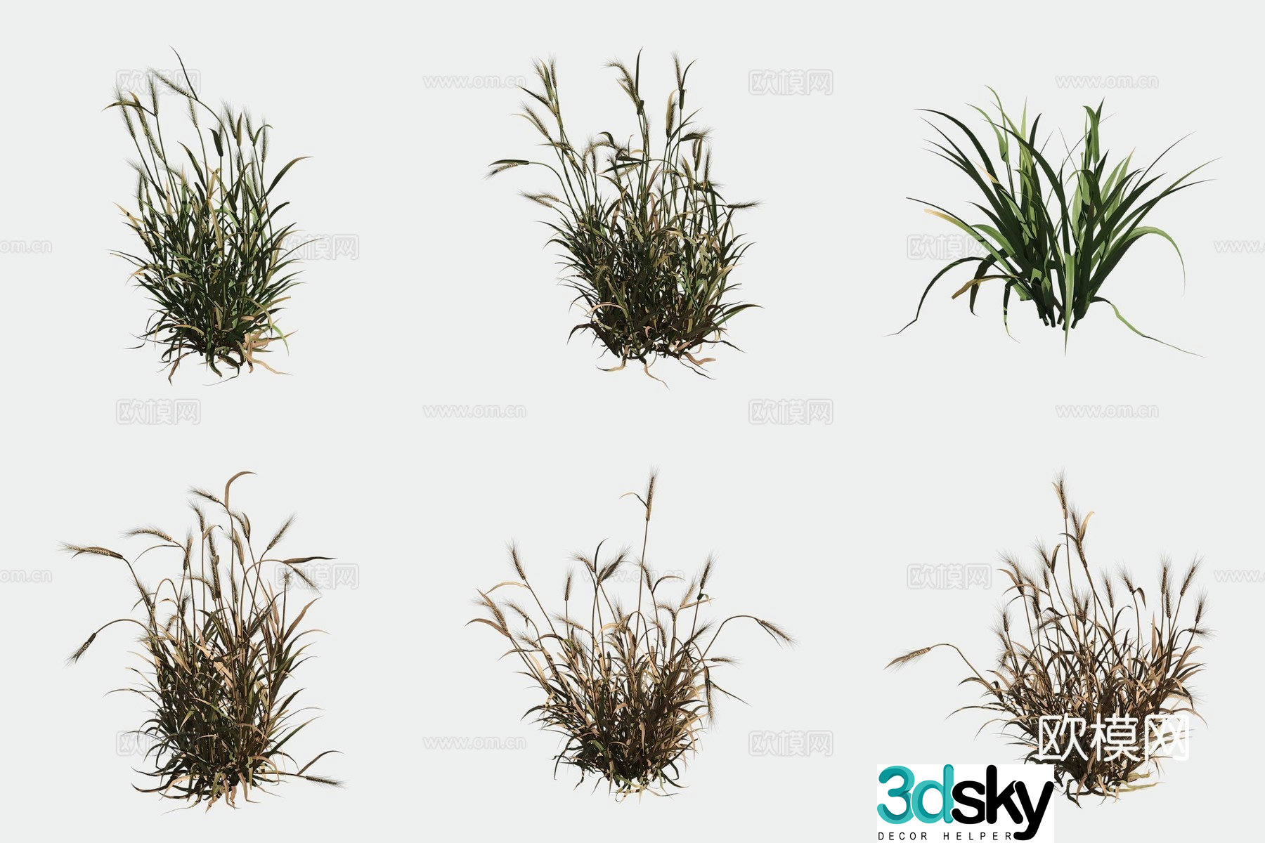 Barley crop crop 3d model