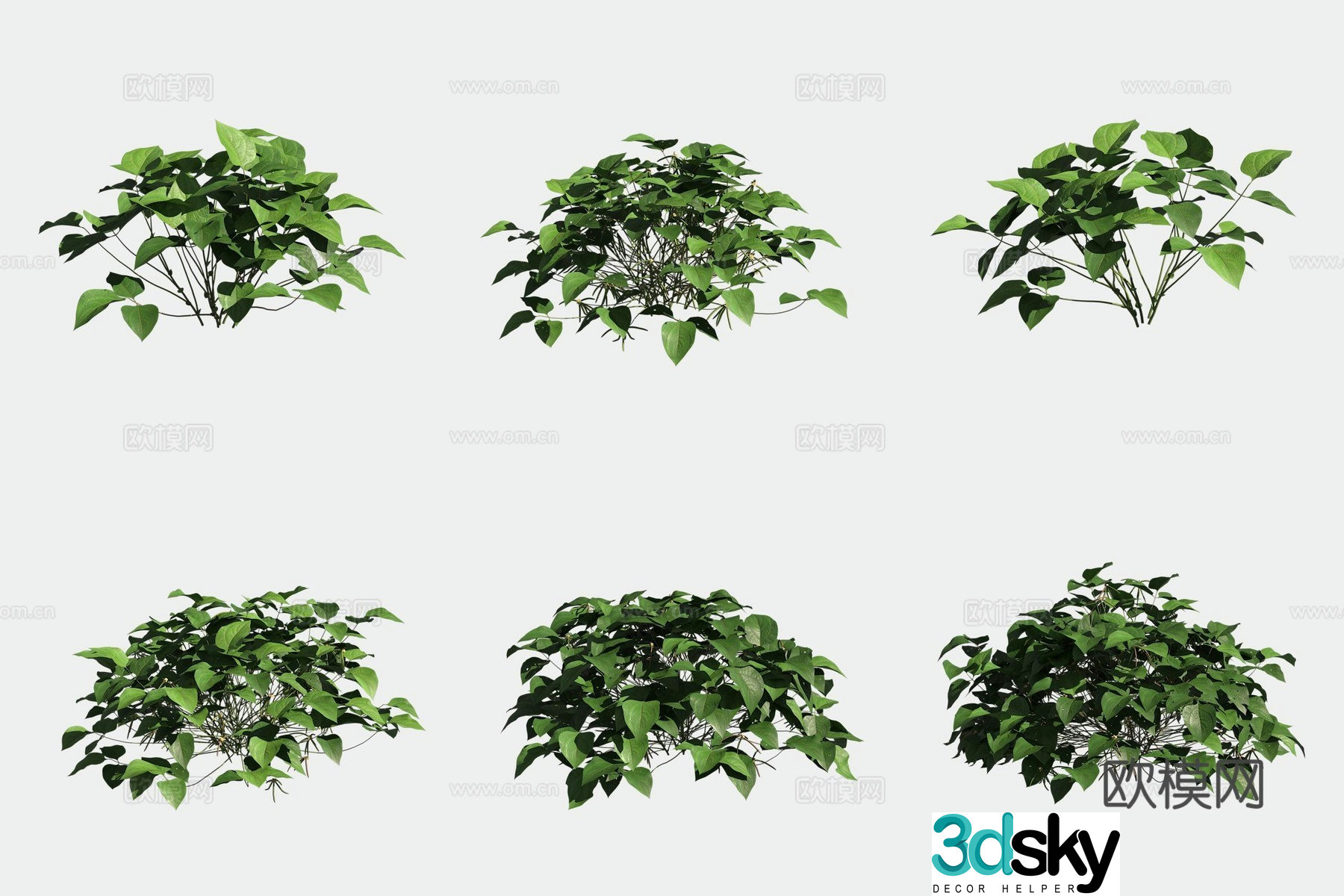 Mung bean crops crops vegetables 3d model