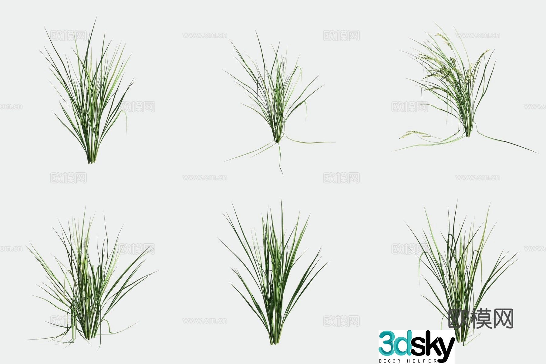 Rice crop crop 3d model