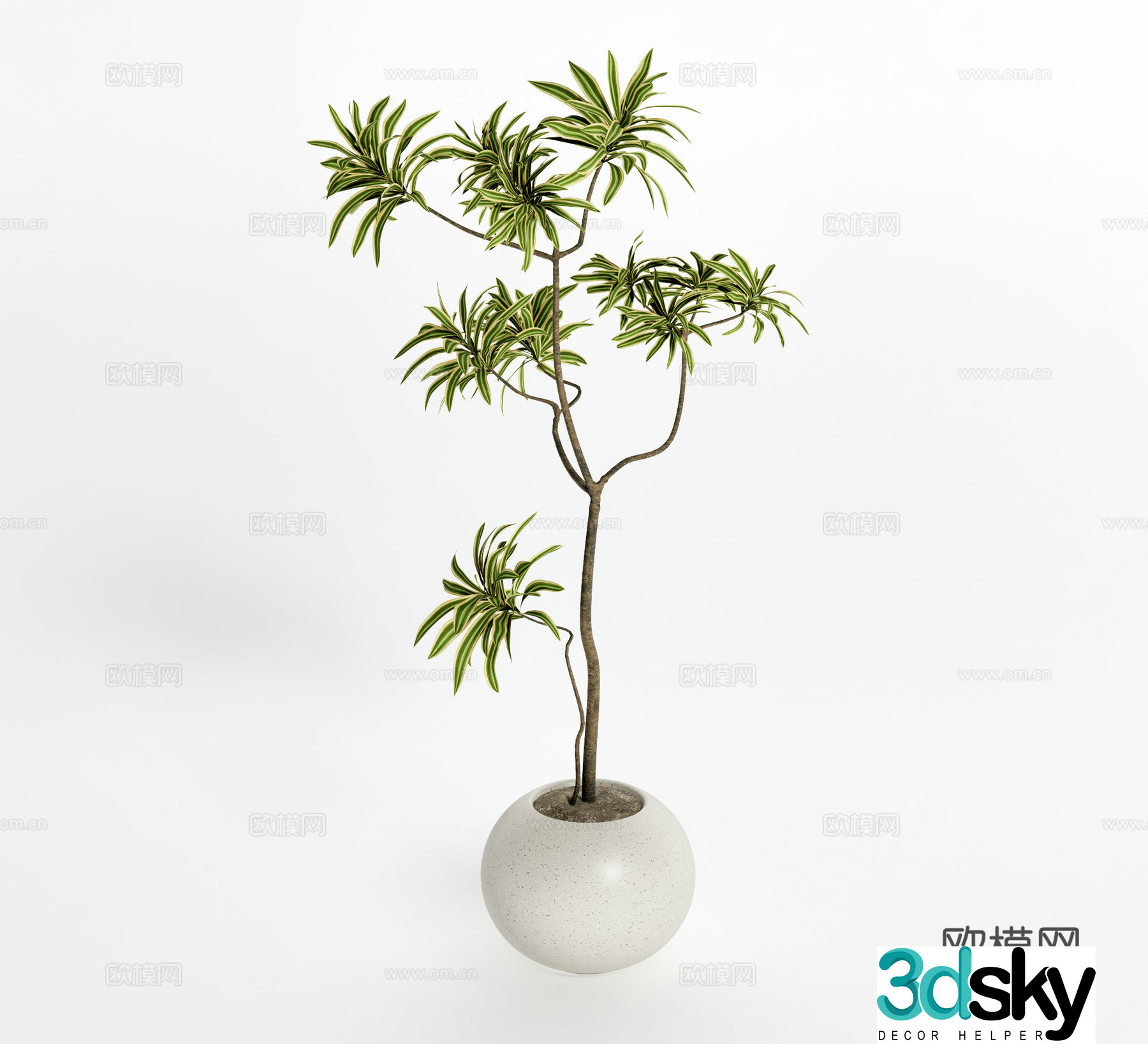 Potted plant green plant ornaments 3D model