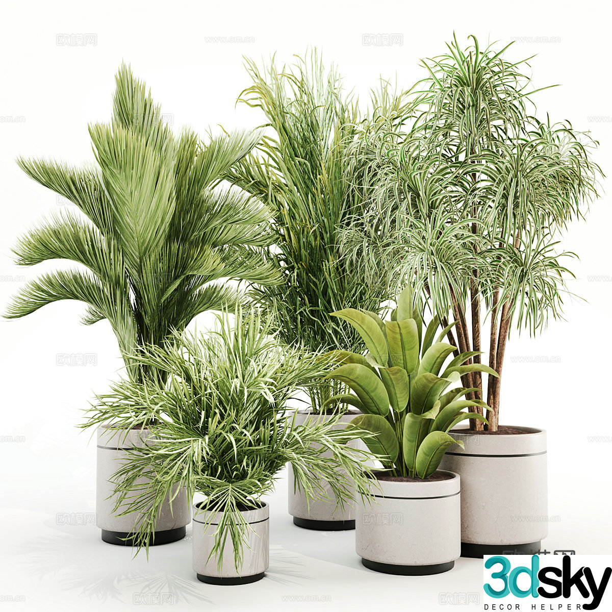 Green plant potted 3D model
