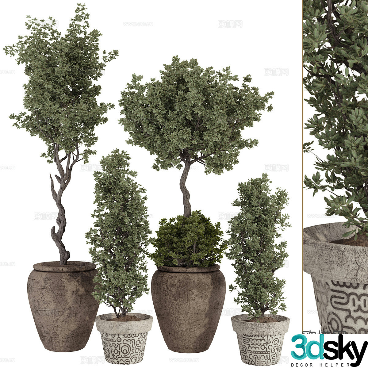 New Chinese green plant potted 3D model