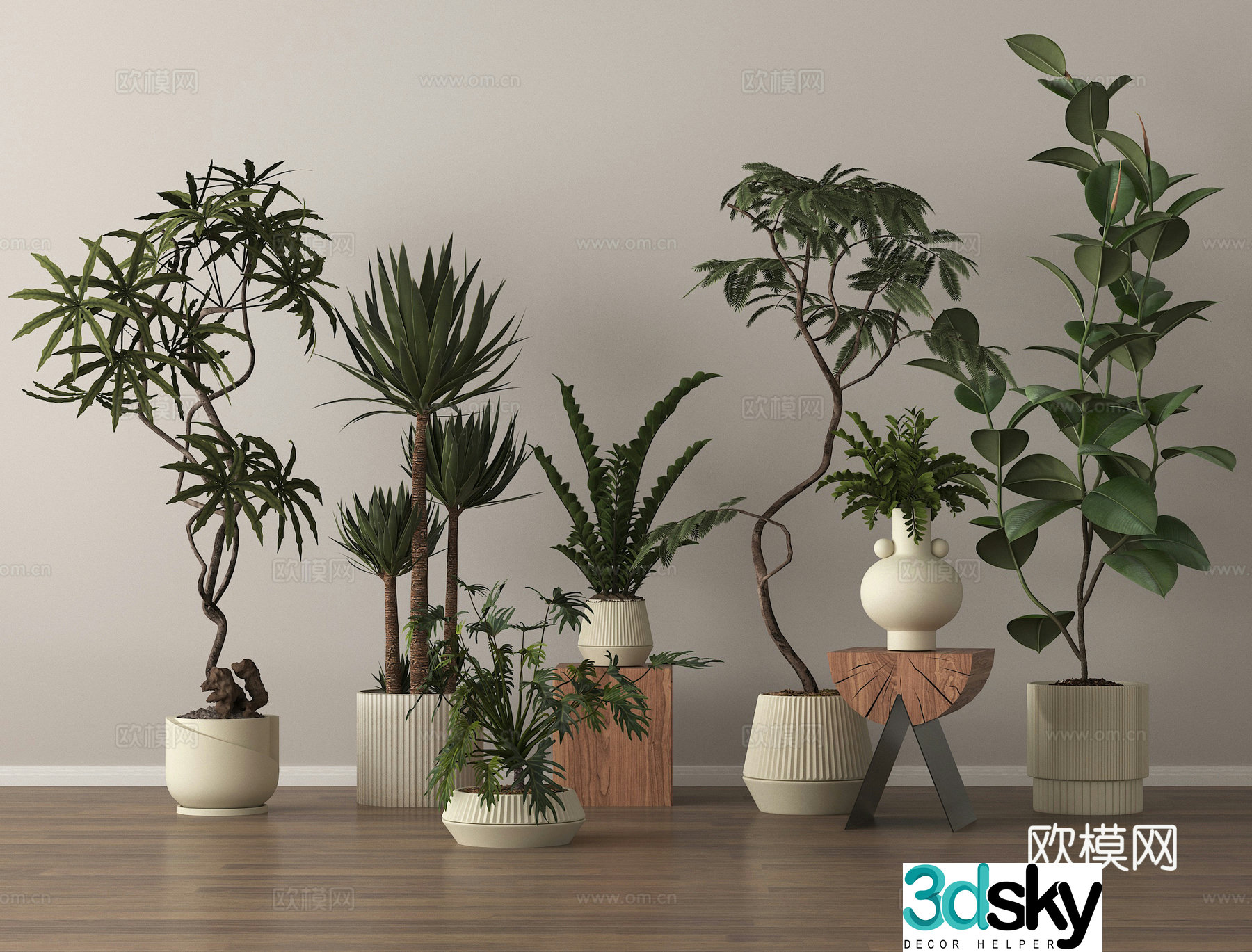 Potted plants Bonsai Green plants 3D model