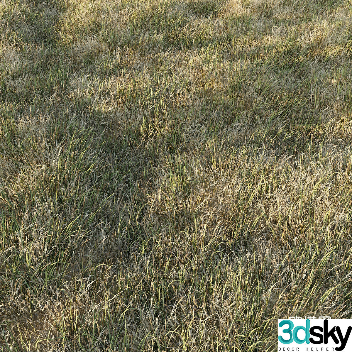 Grass Series Grass 3D Model