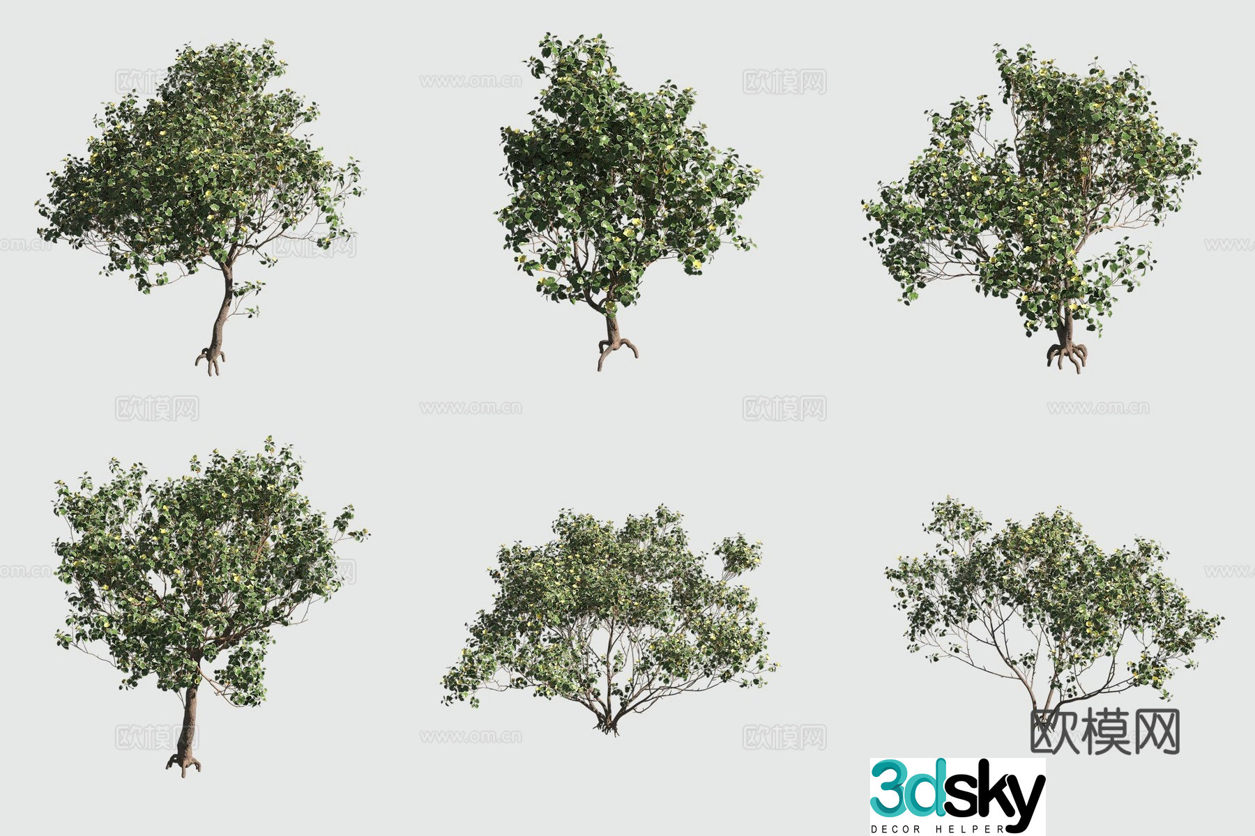 3D model of hibiscus hawaiian plants