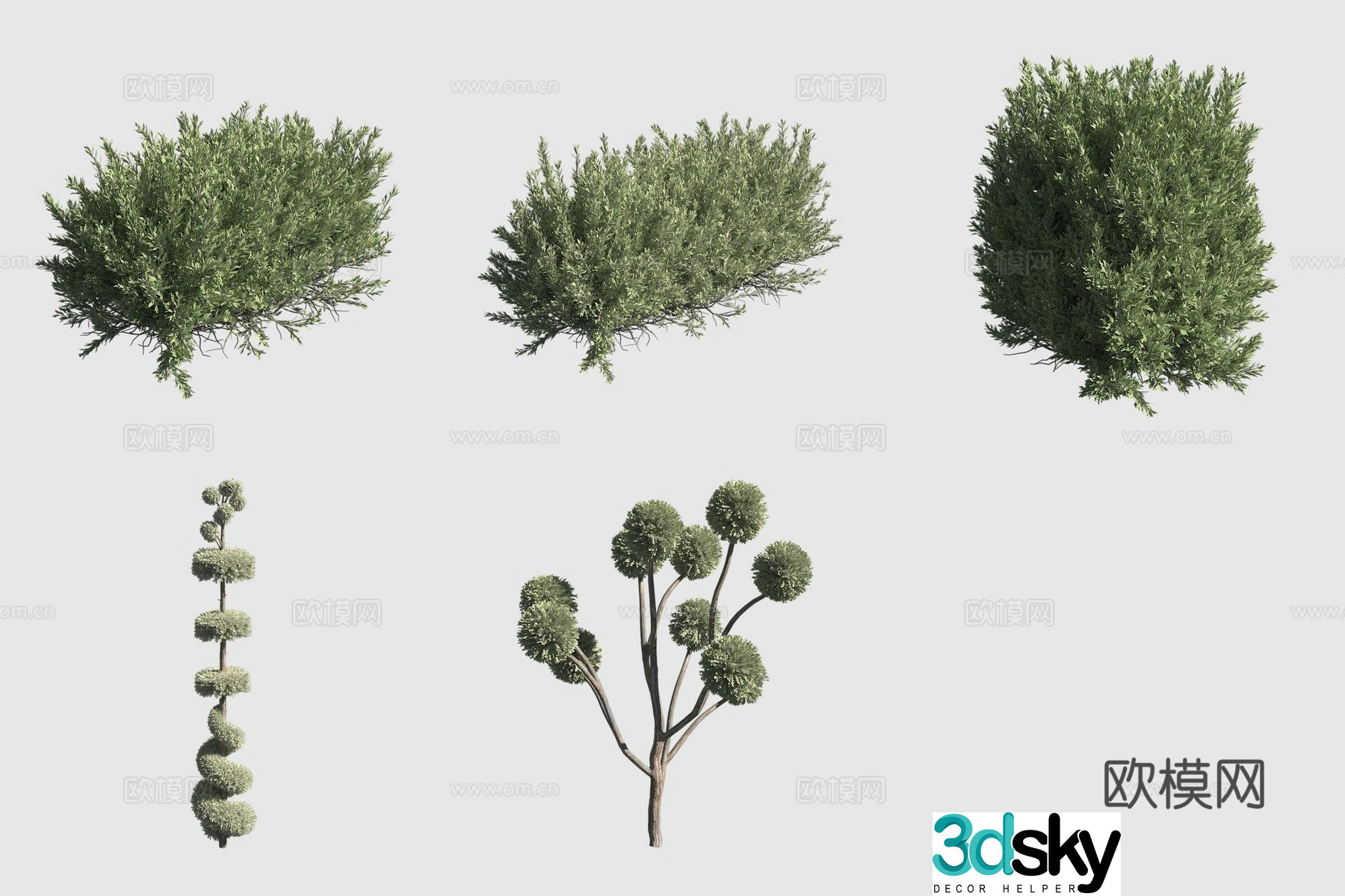 Fork round cypress hedge bush 3d model