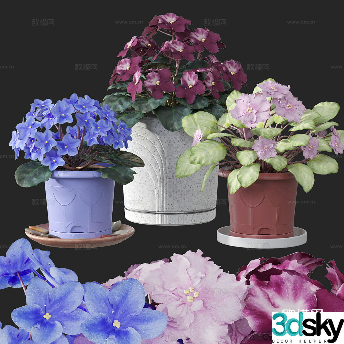 Flower pot Violet 3d model