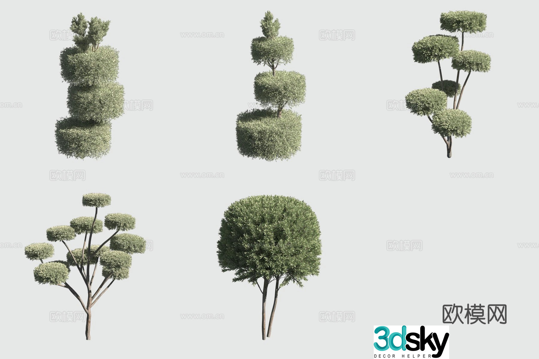 Fork round cypress hedge bush 3d model