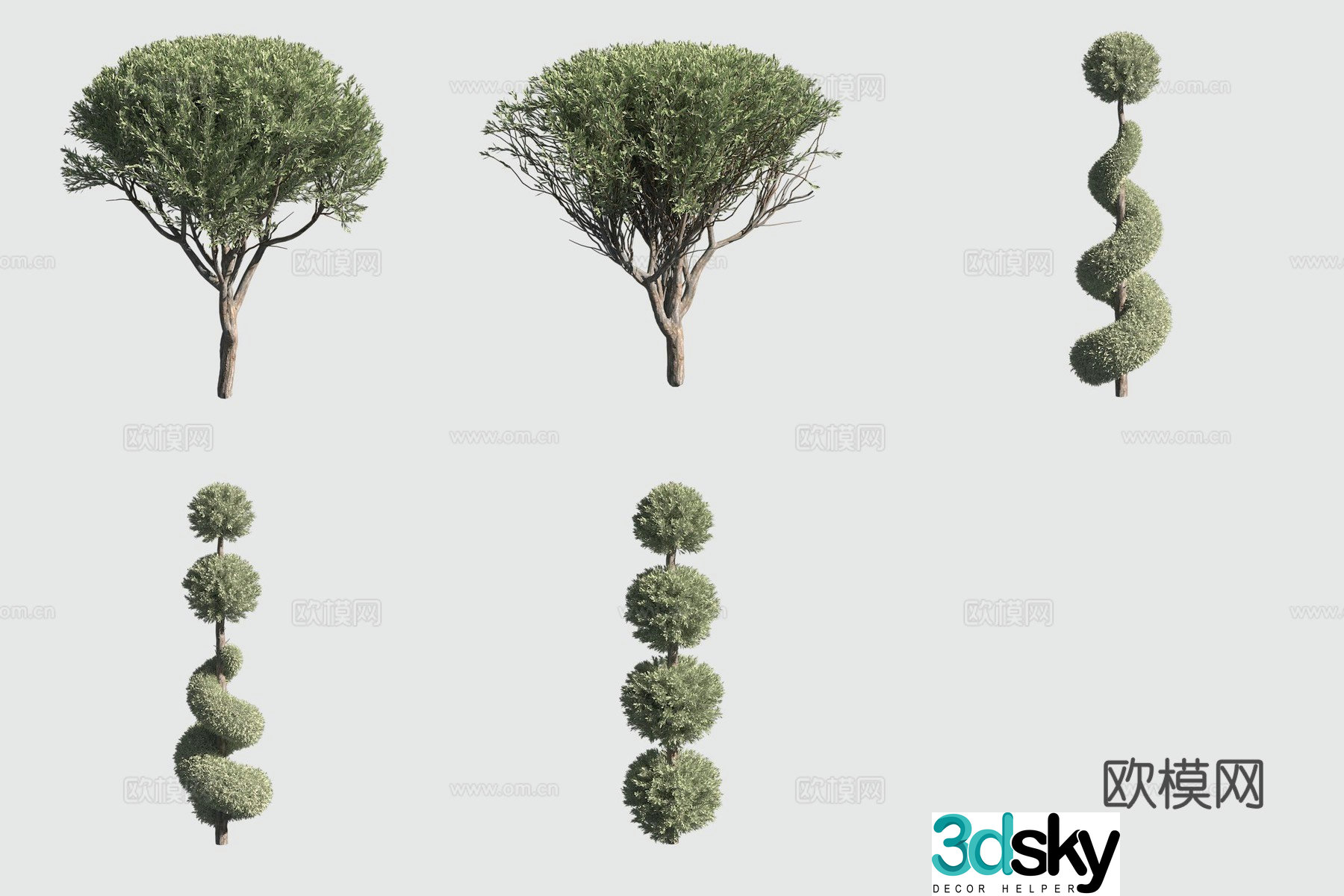 Fork round cypress hedge bush 3d model