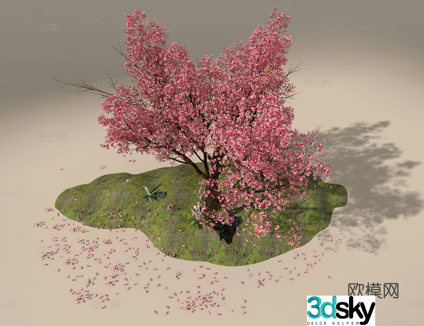Peach Tree 3D Model