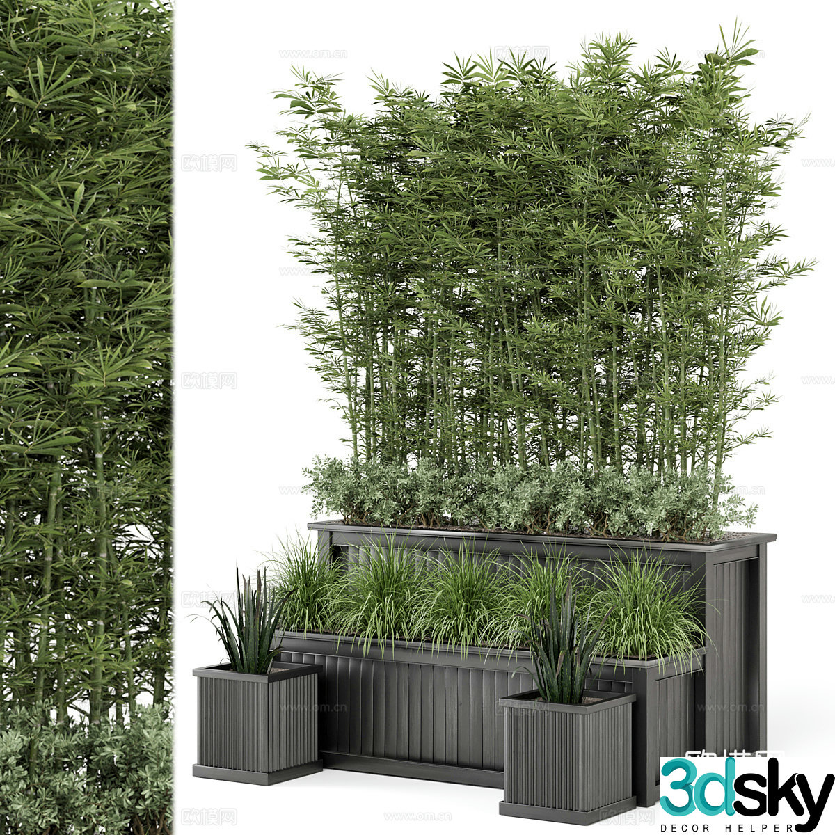 Bamboo potted plant bonsai 3d model