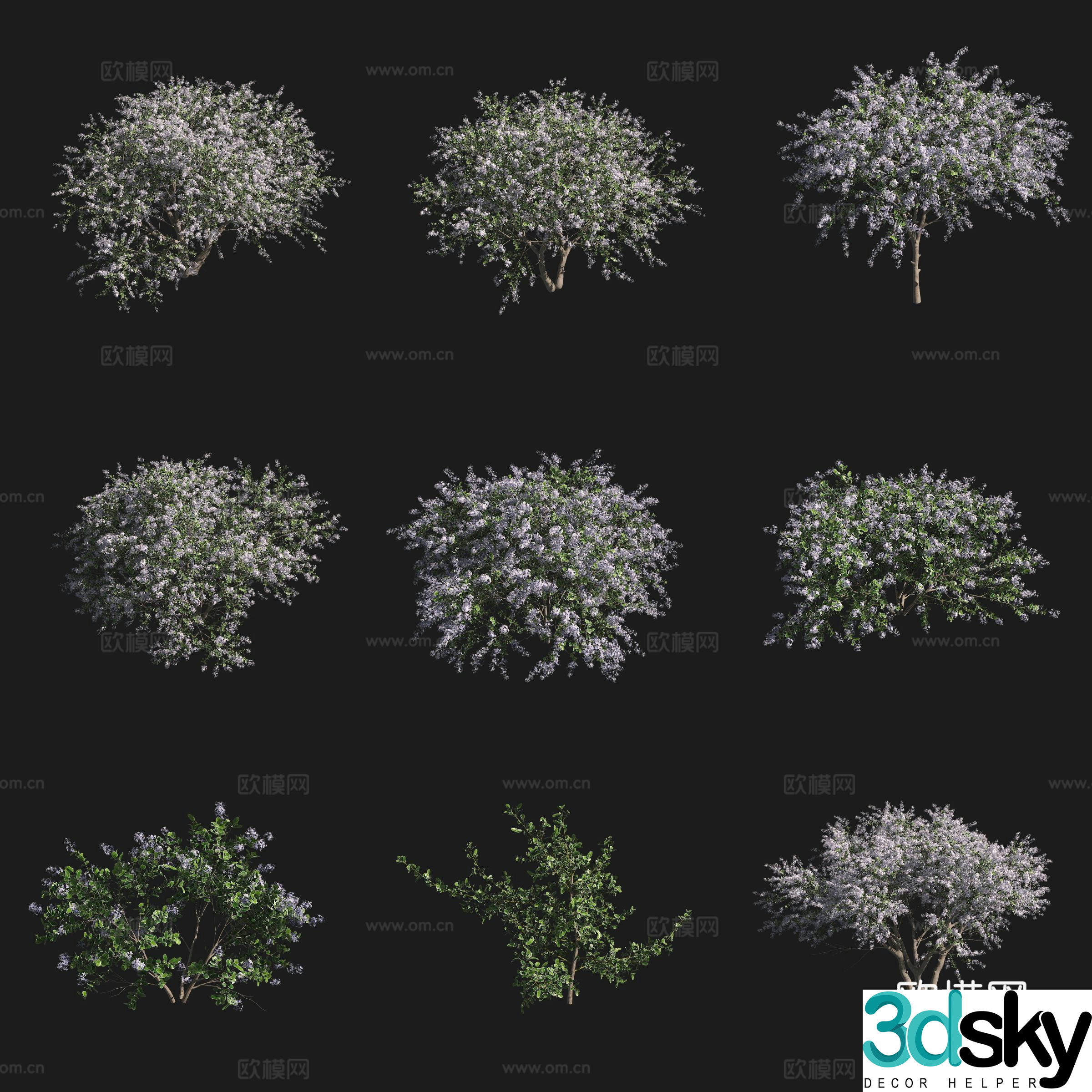 Dark Star California Lilac Shrub Flower Trees Grassland Plant 3D Model